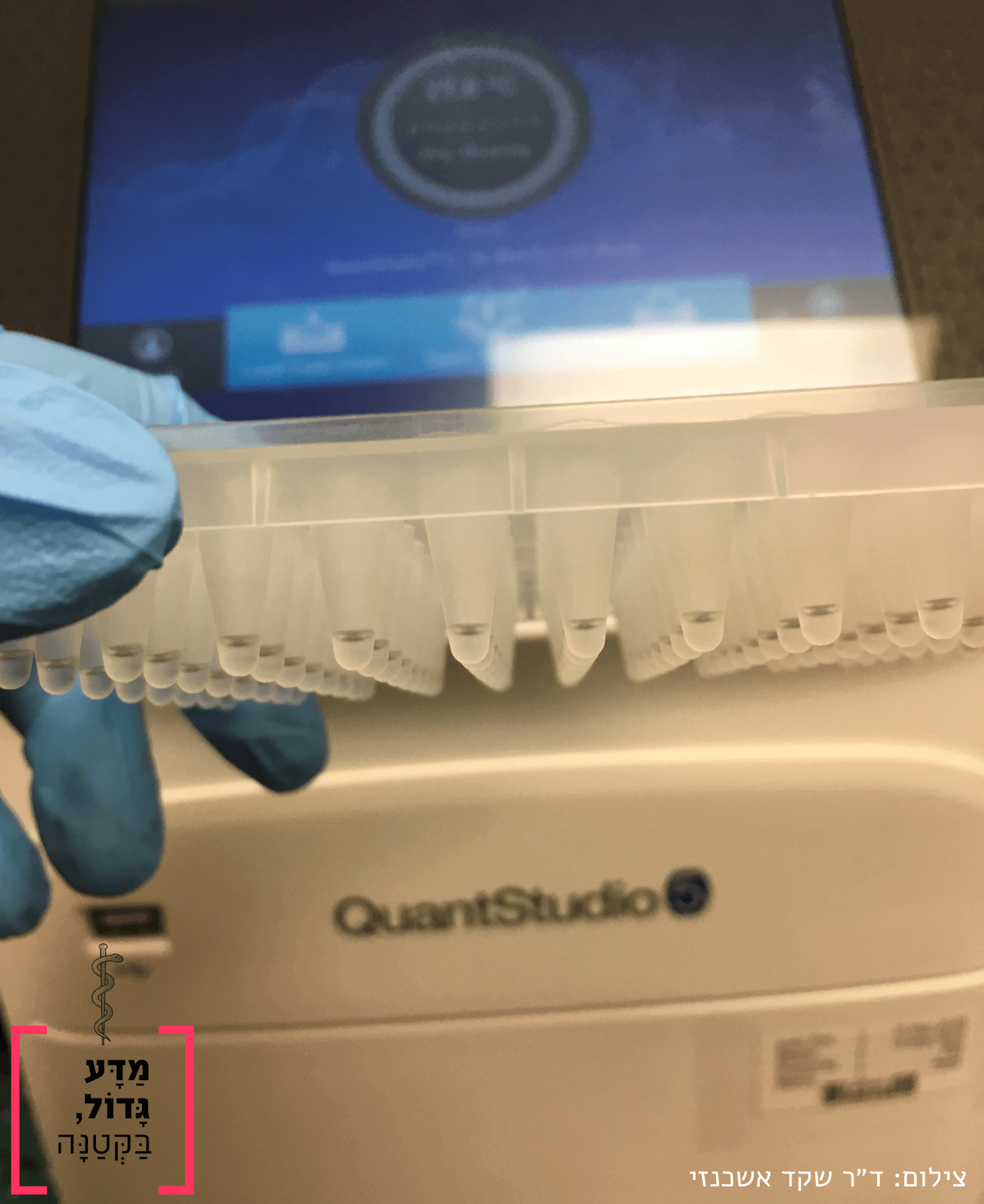 מכשיר real time PCR ודגימות לבדיקה. צילמה ד"ר שקד אשכנזי